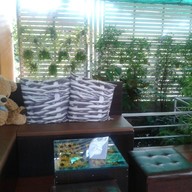 Ninety-nine Coffee