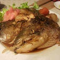 Joi Restaurant