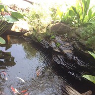 ชานชาลาเลย