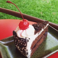 มอ มอ คาเฟ่