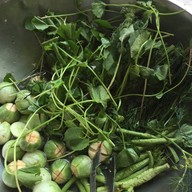 ครัวกันเอง