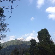 แจ้ซ้อนกาแฟสด