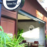 Kittens' Cup