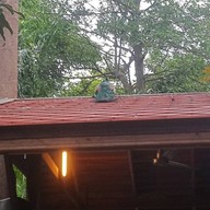 ครัวพันธุ์ไม้ ถนนทัพพระยา ซอย 13  พัทยา  ชลบุรี