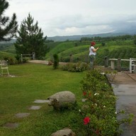 Eating Out Restaurant