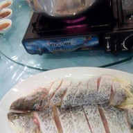 กิ่งกาญจน์