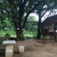 แก้วกาแฟเชียงใหม่วงแหวน3