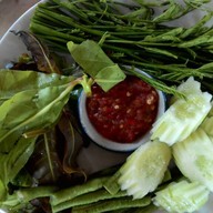 ข้าวแทนคุณ