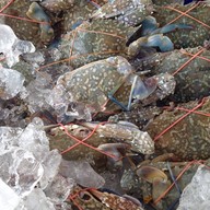 นั่งชิวชิว บุฟเฟ่ต์ทะเลเผา