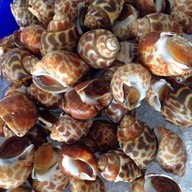 นั่งชิวชิว บุฟเฟ่ต์ทะเลเผา