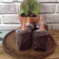 59 Coffee Tea Beverage & Milk