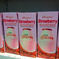 ริมปิง MAYA