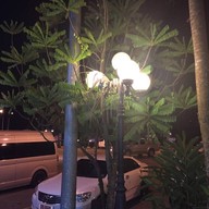 กาแฟสดคุณสาหร่าย