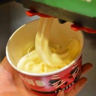 Partyland Frozen Yogurt