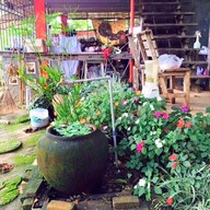 ครัวดอกซอมพอ