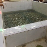ตังค์เต็ม กุ้งย่าง ติวานนท์