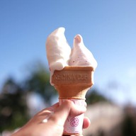 Breezeway Bites Tokyo disneysea