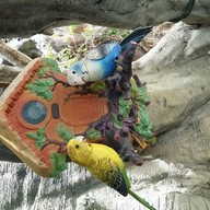 โกปีสวัสดีกาแฟ