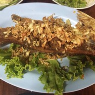 ป้าจุกอาหารป่า