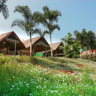 ร้านลาบไก่ ไทหล่ม