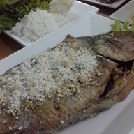 ต้นหอม ผักชี