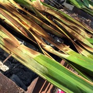 ซุ้มอาหารทานทะเลซีฟู้ด