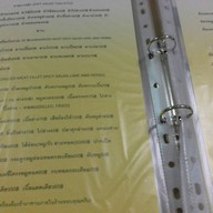 ต้นหอม ผักชี