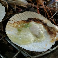 ยกทะเลขึ้นบก