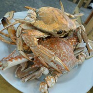 ยกทะเลขึ้นบก