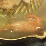 บาร์บีคิวเทอเรซ