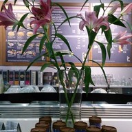 Coffee Fellows berlin airport