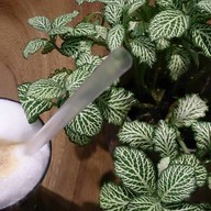 Coffee Fellows berlin airport