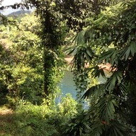 บ้านทองโย๊ะ