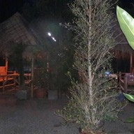 โอ้ ป่าซาง