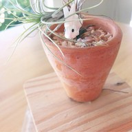 August Coffee - はちがつ