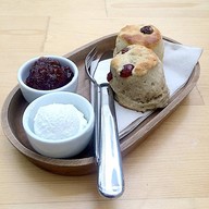 Peony Teafe' & Gallery