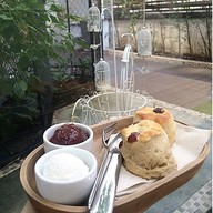 Peony Teafe' & Gallery