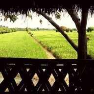 ครัววาสนาปลาเผา