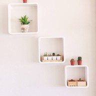 August Coffee - はちがつ