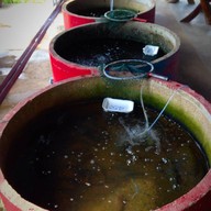 เจ๊ลีกุ้งเผา-ปลาเผา ถนน346  ไทรน้อย