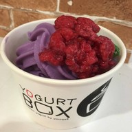 Yogurt Box Future Rangsit