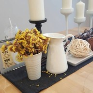 Peony Teafe' & Gallery