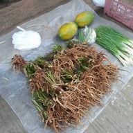 ตลาดสดแม่สลอง