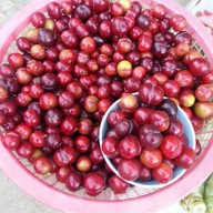 ตลาดสดแม่สลอง
