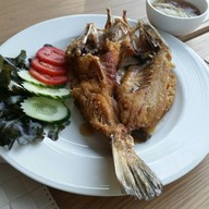 Joi Restaurant