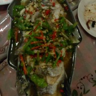 New มะละกอ BY JJJ