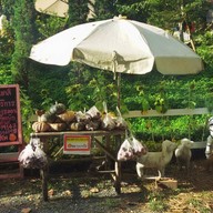 ปางสูงเฮ้าส์