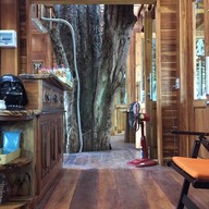 ที่นี่...รุจิ