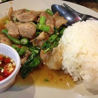 เข้าโค้งคลับ เจเจ กรีน