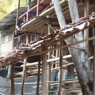 ร้านพิงค์ & แพน